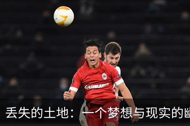 丢失的土地：一个梦想与现实的幽默交响曲